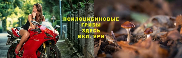 ALPHA-PVP Алексин