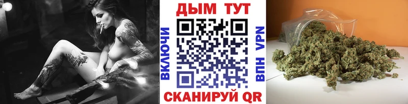 Бошки Шишки White Widow Северская